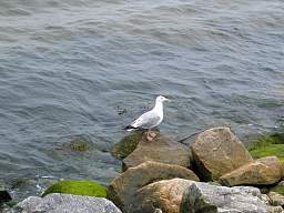 web_IMG_3542_1280.jpg