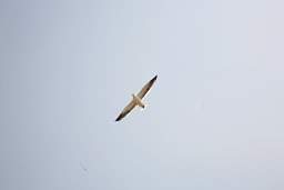 web_IMG_4889.jpg