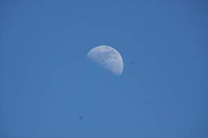 LBI_201406011.JPG