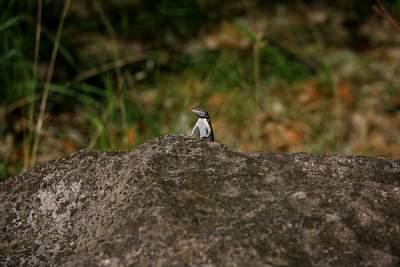 web_IMG_9820.jpg