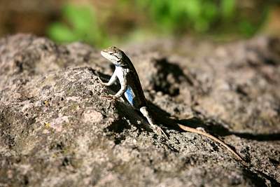 web_IMG_9826.jpg