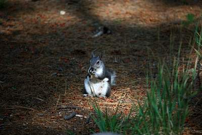 web_IMG_9829.jpg