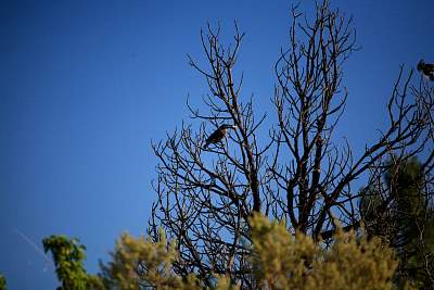 web_IMG_0078.jpg