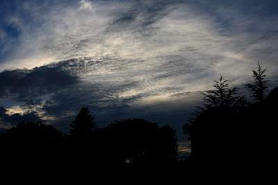 web_IMG_9023.jpg