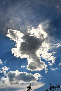 web_IMG_9859.jpg