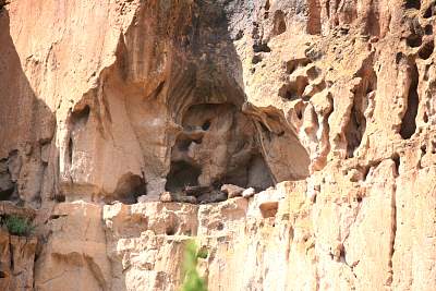 web_IMG_9770.jpg