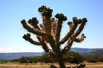 web_IMG_0103.jpg