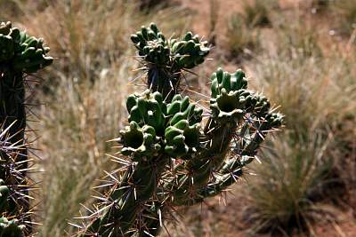 web_IMG_0104.jpg