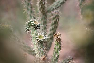 web_IMG_9683.jpg