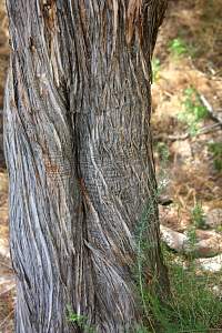 web_IMG_9726.jpg