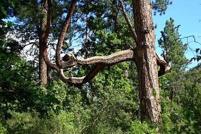 web_IMG_9815.jpg