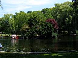 web_CRW_8106.jpg
