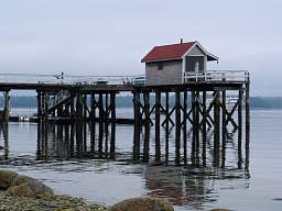 web_CRW_8721.jpg
