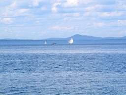 web_CRW_8296.jpg