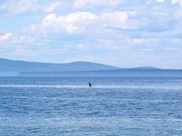 web_CRW_8297.jpg