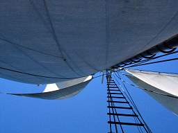 web_CRW_8335.jpg