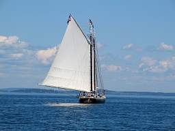 web_IMG_8276.jpg