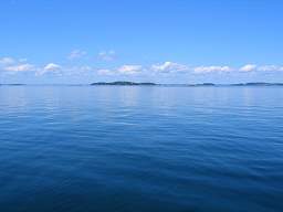 web_IMG_8327.jpg