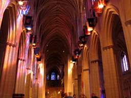 CRW_5949.jpg